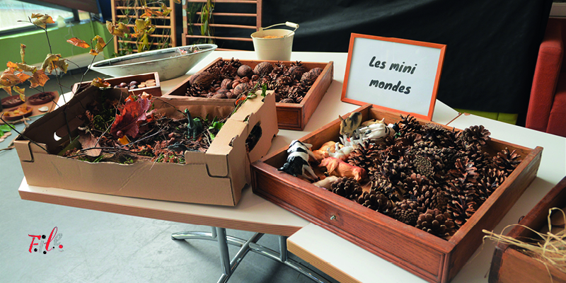 Amener la nature à l’intérieur