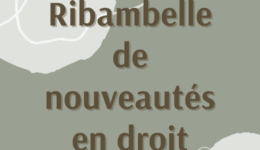 Fin 2022 Rimbambelle de nouvelles... Fin 2022 Rimbambelle de nouvelles...