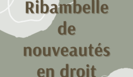 Fin 2022 Rimbambelle de nouvelles...