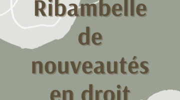 Fin 2022 Rimbambelle de nouvelles...