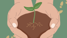 Copie de « Grandir dehors mille manières d’investir les espaces extérieurs en milieu d’accueil » (Logo) Copie de « Grandir dehors mille manières d’investir les espaces extérieurs en milieu d’accueil » (Logo)